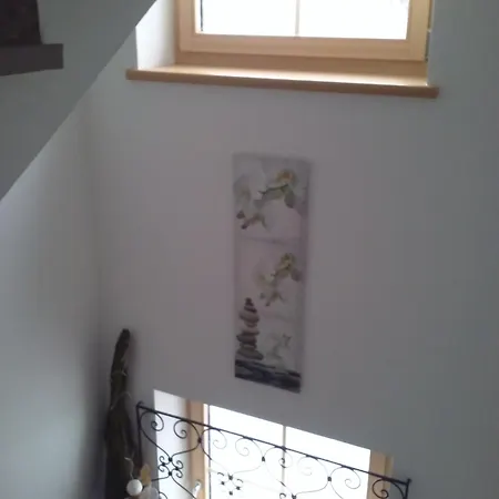 Bachergut Apartman *