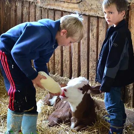 Bachergut * Mariapfarr