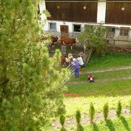 Bachergut Mariapfarr