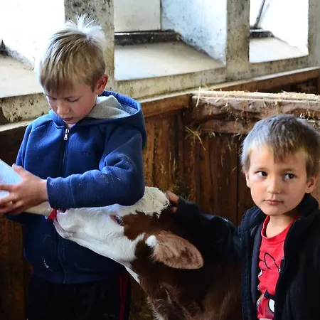 Bachergut מריהפאר