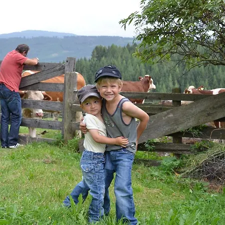 Bachergut * מריהפאר