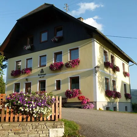 Apartment Bachergut