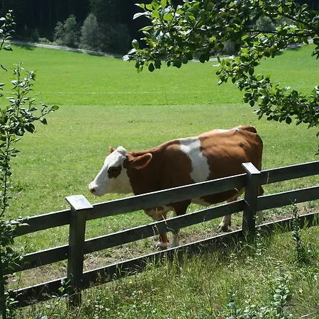 Apartmán Bachergut Mariapfarr
