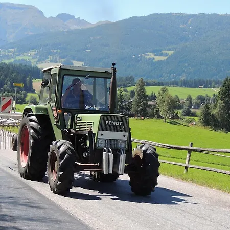 Bachergut Mariapfarr